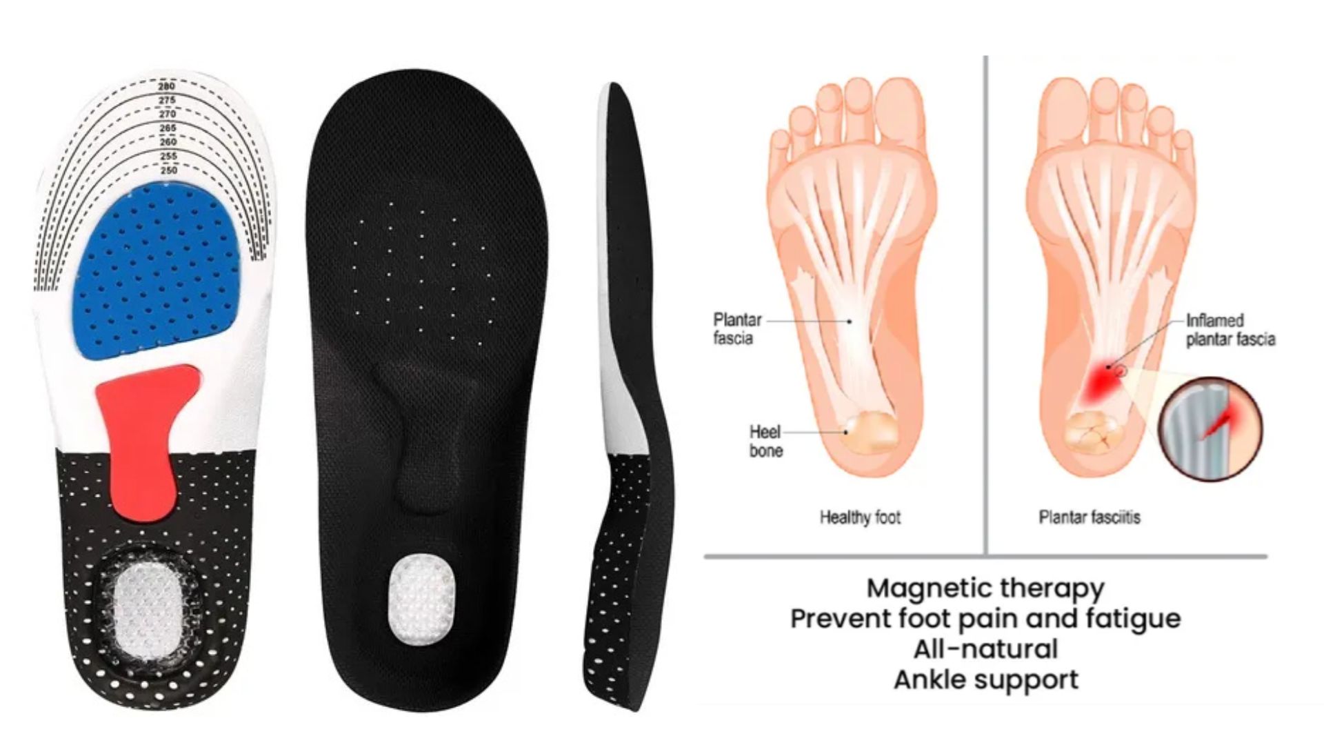 Anatomía del pie y zonas de presión de Plantilla PRO